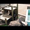 IMG_6851
20/06/2004 4:45:10 PM
